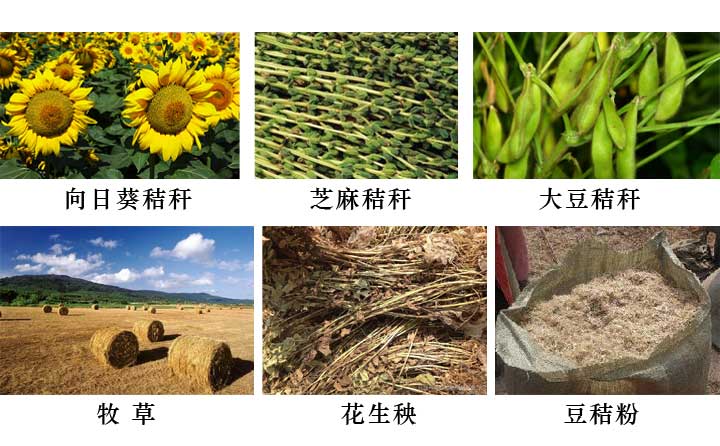 适合玉米秸秆压块机的原料都有哪些