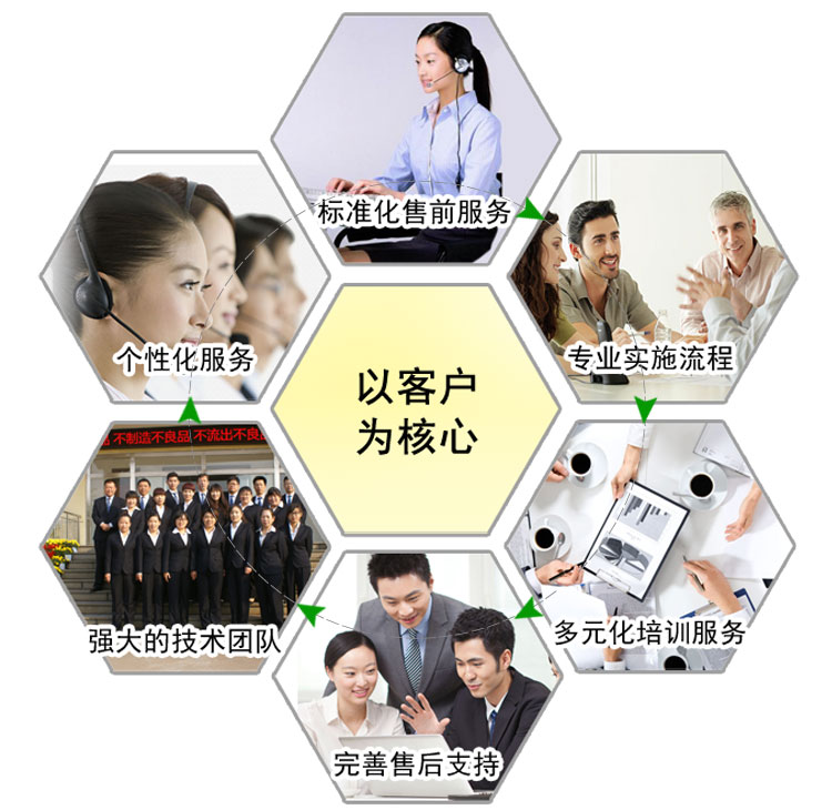 公司团队