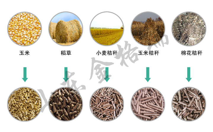 秸秆颗粒机生产的饲料颗粒