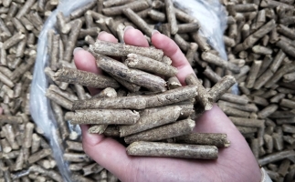 锯末颗粒机木屑颗粒燃料市场前景如何？