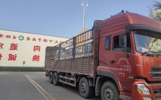 忙碌的五月，忙碌的发货，波肖门尾图库颗粒机生产线发往全国各地